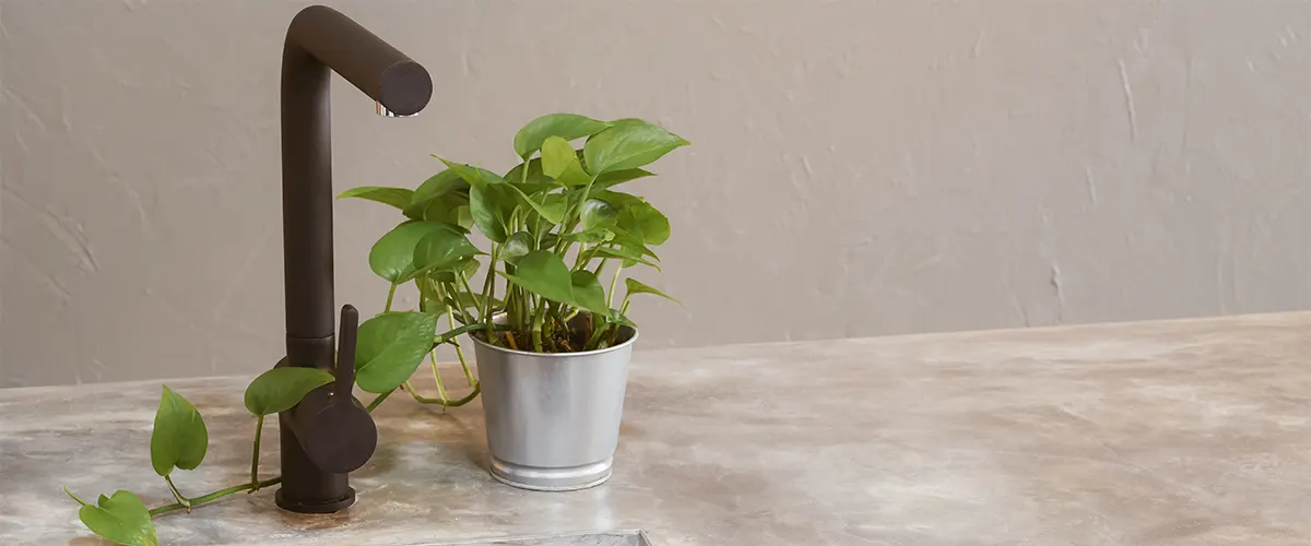 A simple concrete counter with a plant and a black water fixture